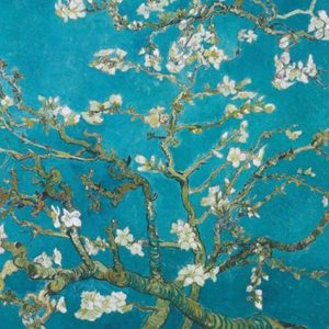 ואן גוך - פריחת השקדיה