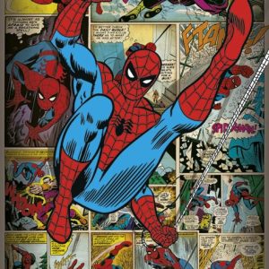 ספיידרמן רטרו