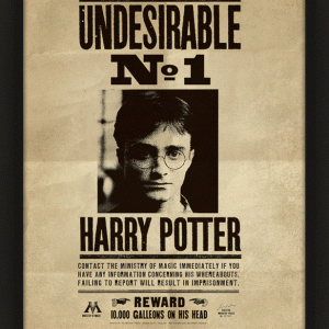 Harry Potter (Potter / Sirius)