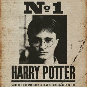 פוסטר - הארי פוטר: מבוקש