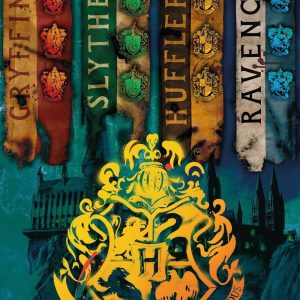 הארי פוטר - דגלי הבתים