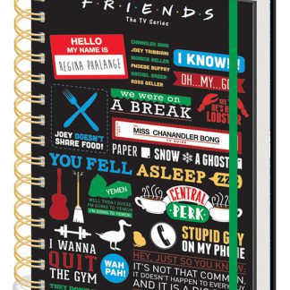 Friends Infographic