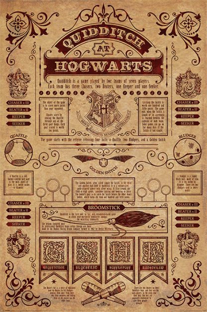 Harry Potter (Quidditch At Hogwarts)