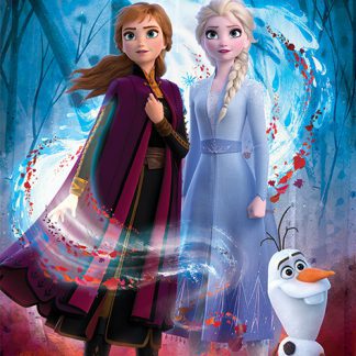 Frozen 2 Guided Spirit