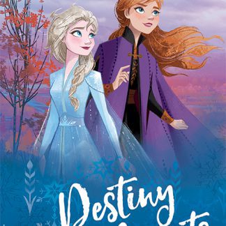 Frozen 2 Destiny Awaits