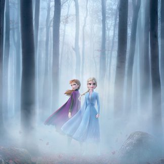 Frozen 2 Woods