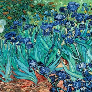 ואן גוך (Les Irises)
