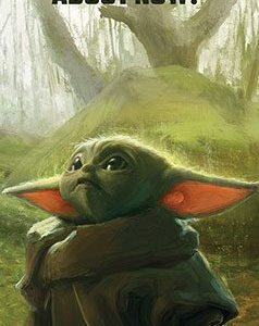 פוסטר דלת: מלחמת הכוכבים המנדלוריאן - בייבי יודה
