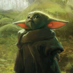 מלחמת הכוכבים - המנדלוריאן הילד