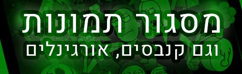 מסגור תמונות