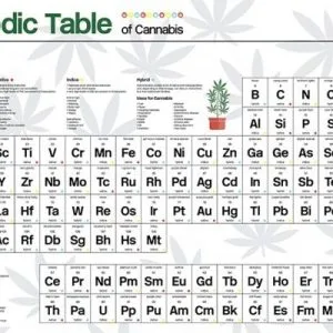 הטבלה המחזורית (קנאביס)- Periodic Table (Cannabis)