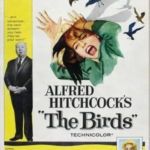 היצ'קוק - הציפורים The Birds