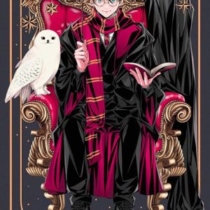 הארי פוטר: שושלת המכשף