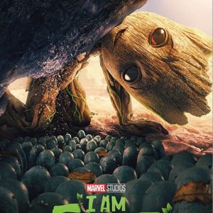 שומרי הגלקסיה - Groot The Little Guy