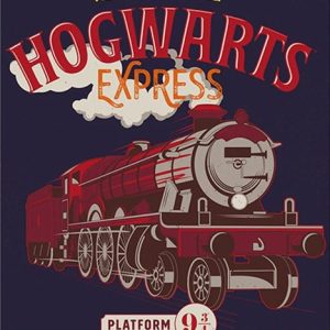 הארי פוטר - תחבורה קסומה