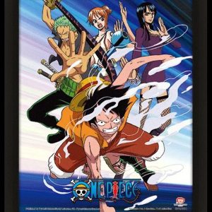 תלת מימד: וואן פיס - תקיפת פיראטי כובע הקש