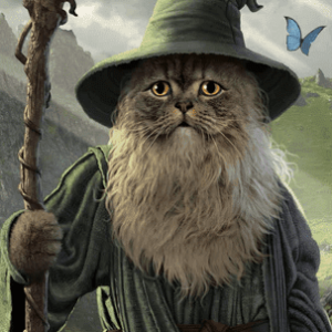 פוסטר ההוביט - גנדלף חתול