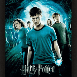 תלת מימד: הארי פוטר - מסדר עוף החול