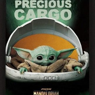 תלת מימד: המנדלוריאן - מטען יקר