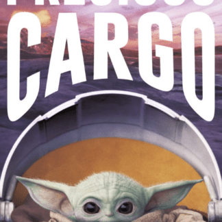 STAR WARS THE MANDALORIAN PRECIOUS CARGO