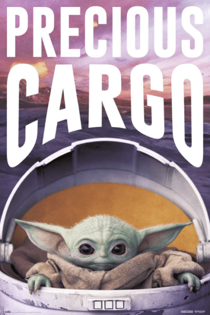 STAR WARS THE MANDALORIAN PRECIOUS CARGO