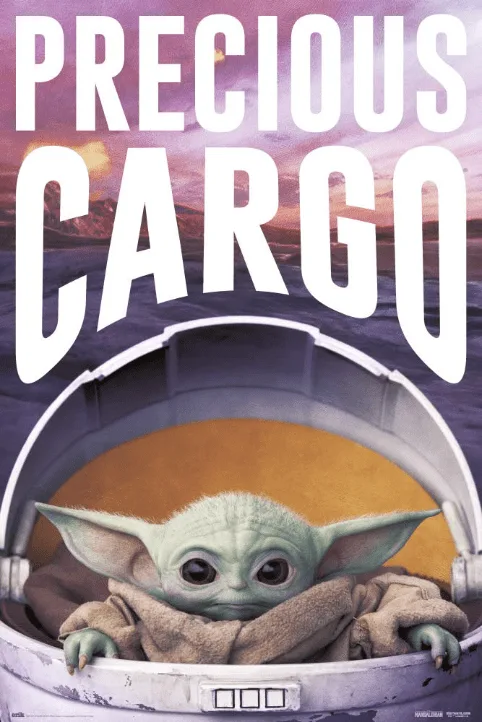 STAR WARS THE MANDALORIAN PRECIOUS CARGO