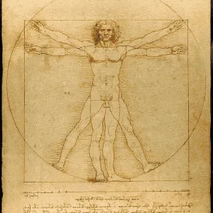 HOMBRE DE VITRUVIO