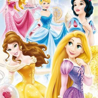 DISNEY PRINCESS - GROUP