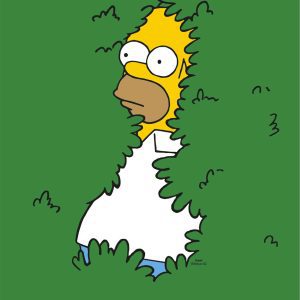 Poster: The Simpsons - Homer Bush