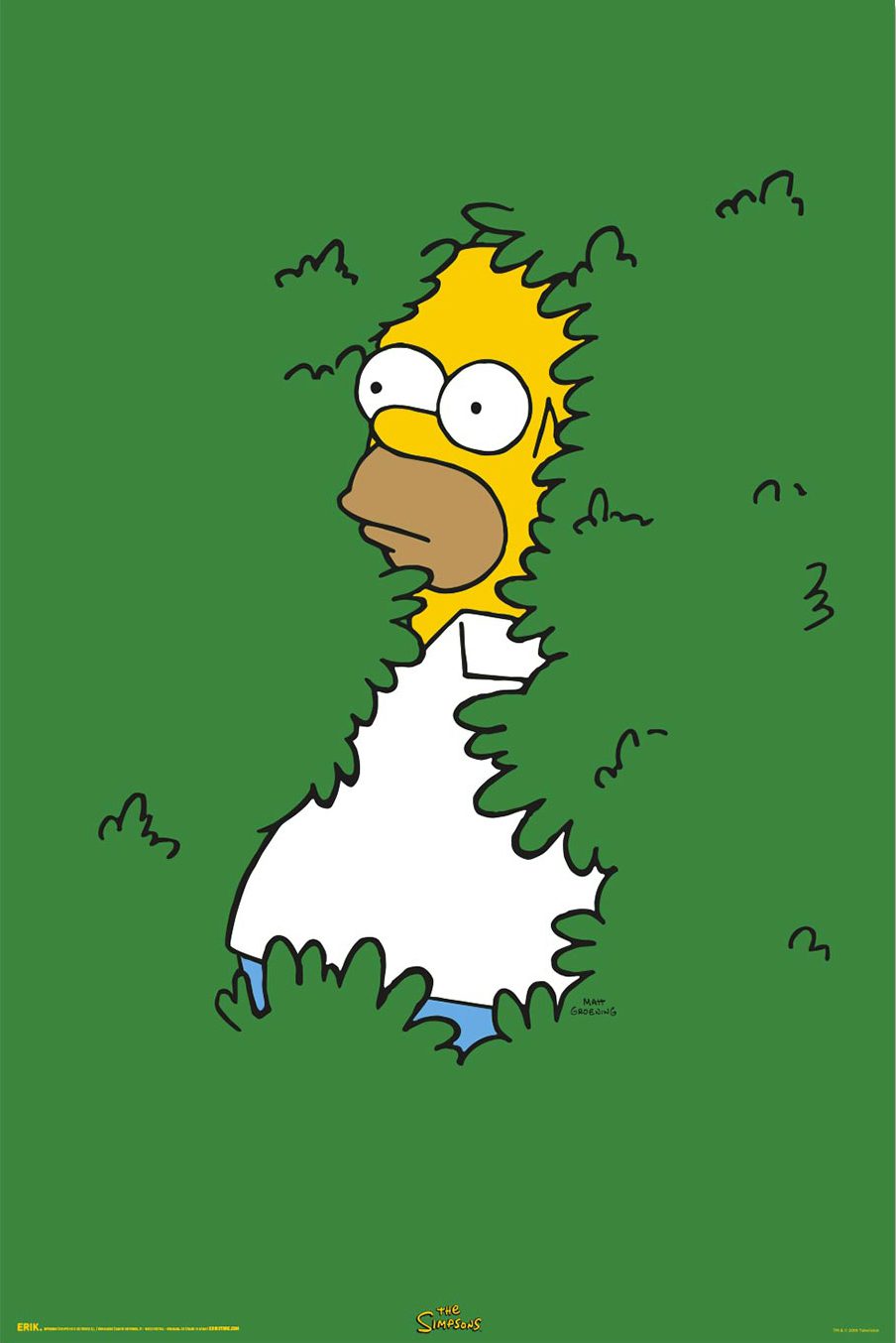 Poster: The Simpsons - Homer Bush
